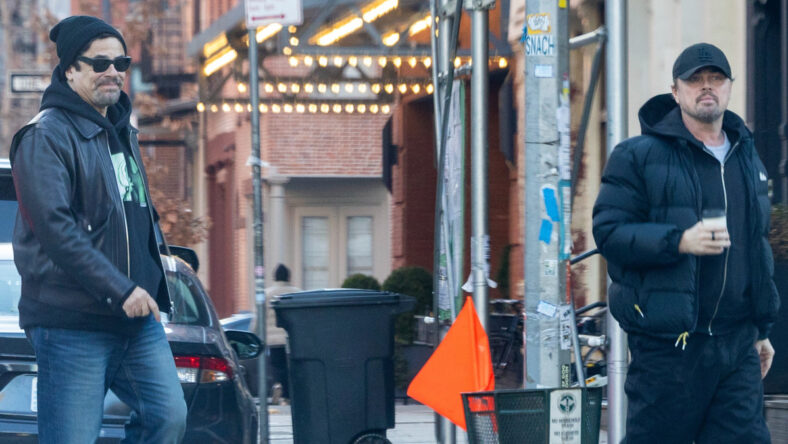 benicio del toro & leo dicaprio meet up for lunch