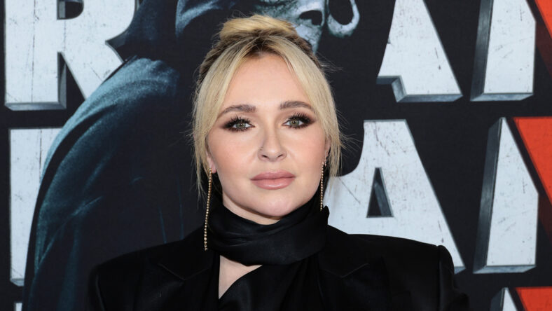 Hayden Panettiere boat incident