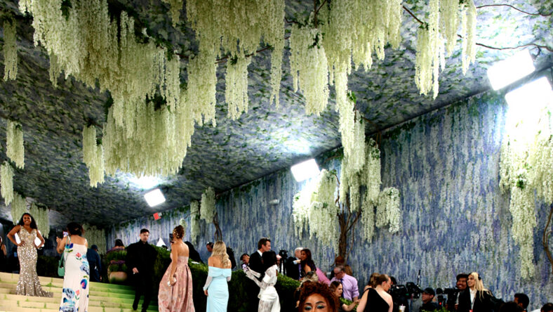 Met Gala red carpet