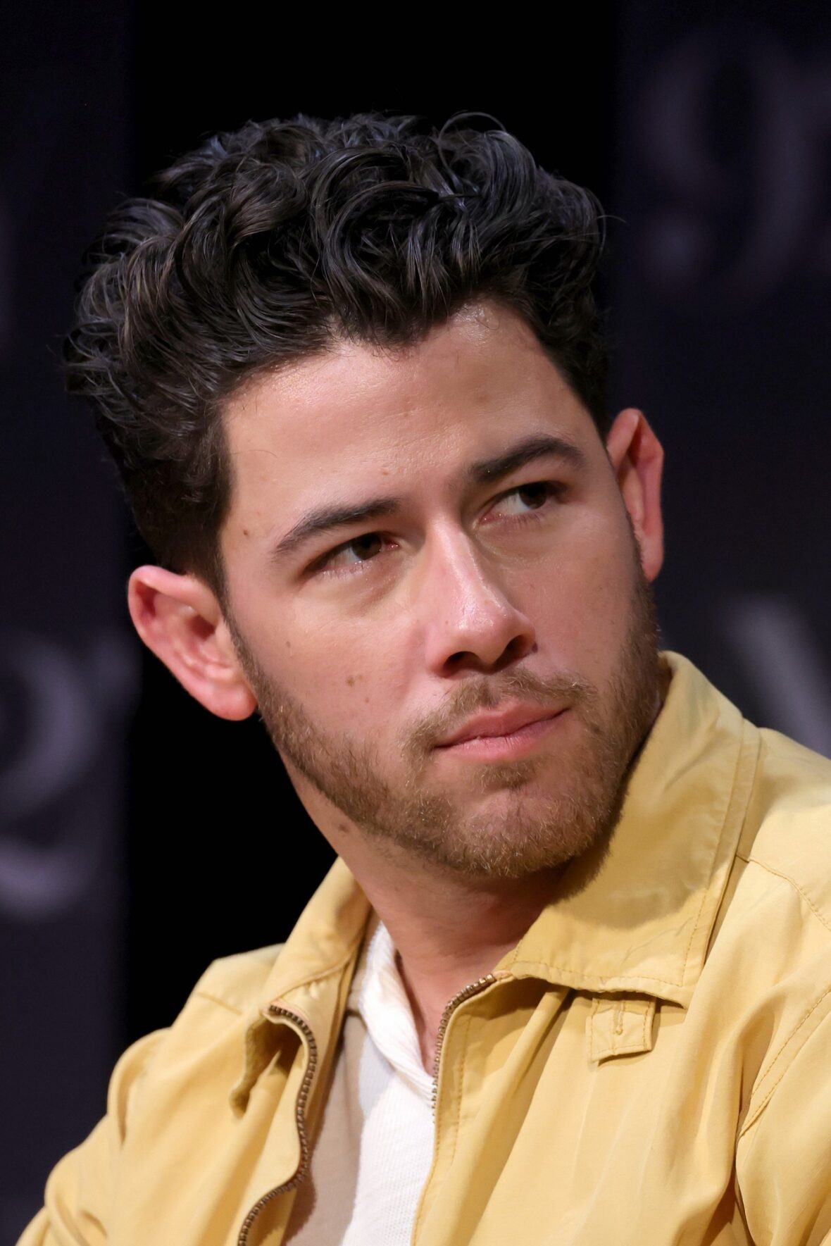 Paul Rudd and Nick Jonas attend an In Conversation event with Josh Horowitz