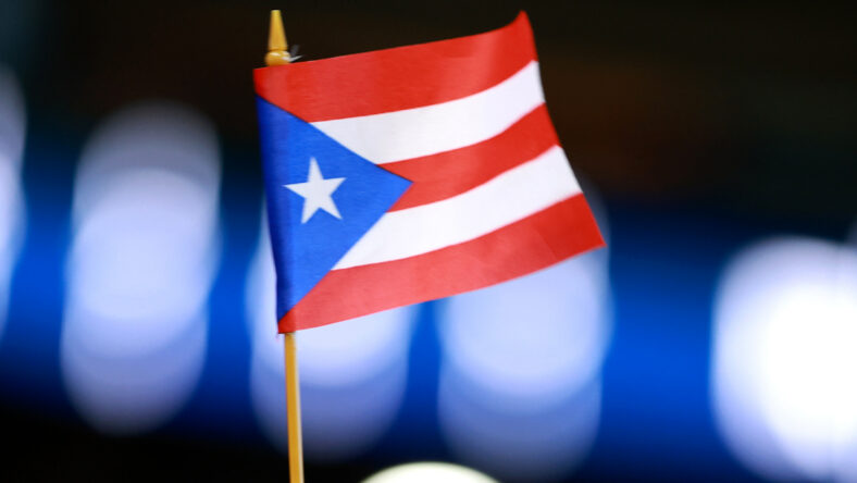 Puerto Rico flag