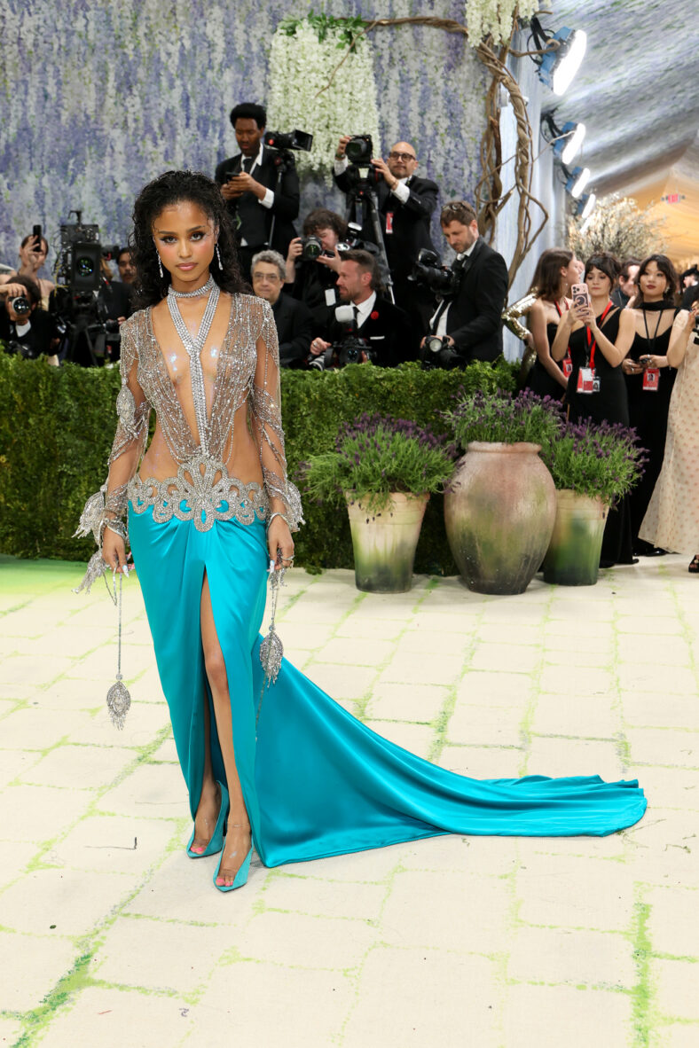 Tyla stock image from Met Gala