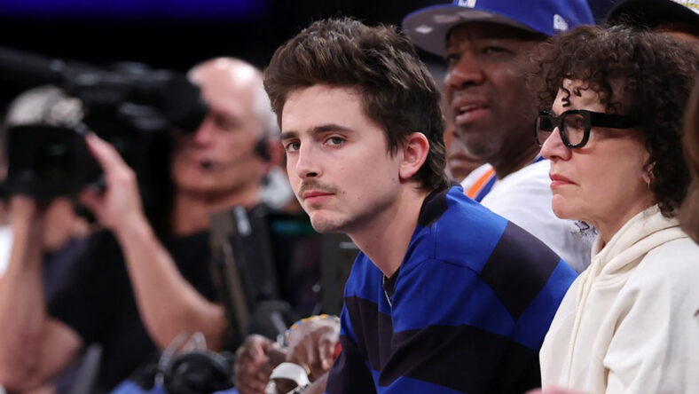 Timothee Chalamet at Knicks game