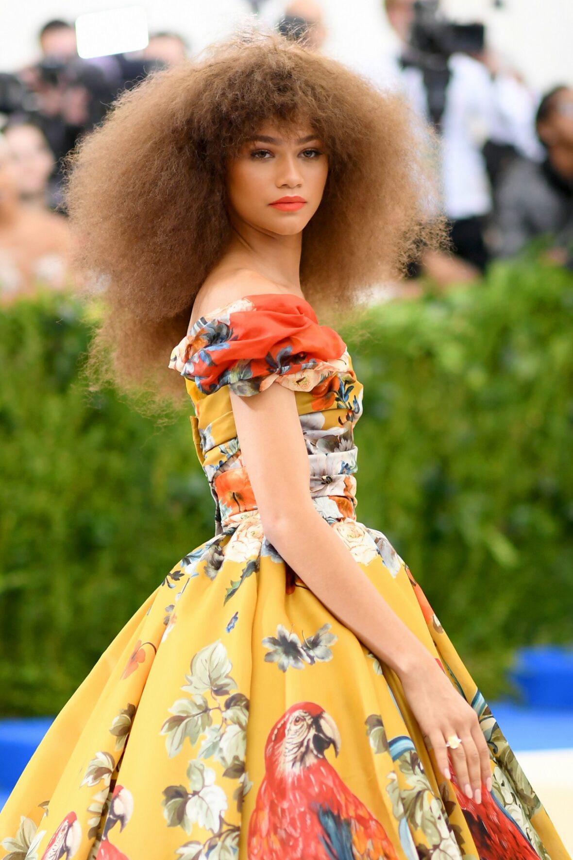 Zendaya passou na reunião de gala
