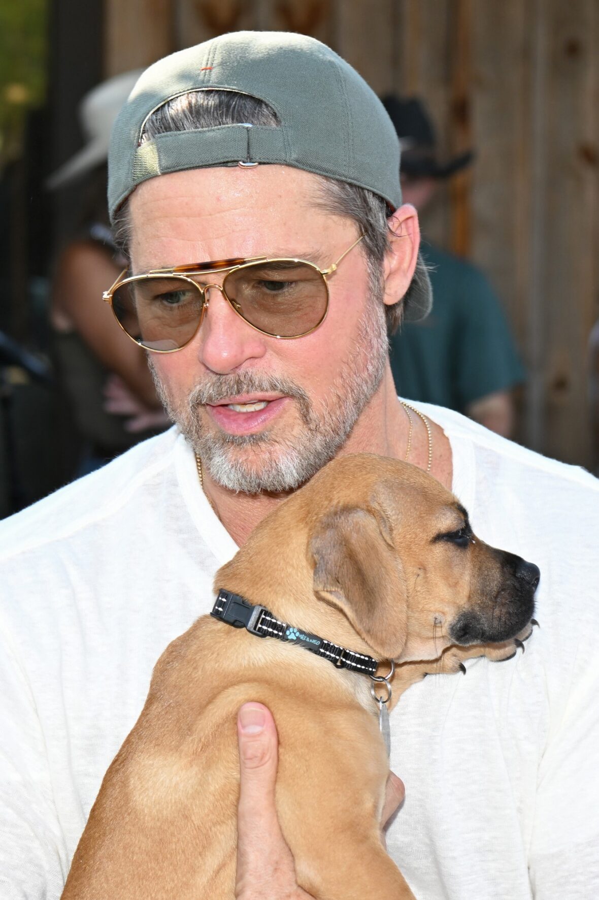 Brad Pitt attends the 