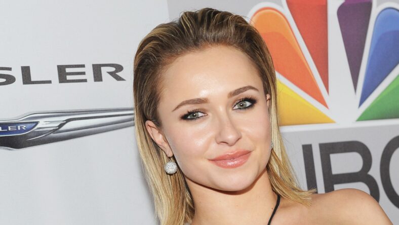 Hayden Panettiere's ex speaks out