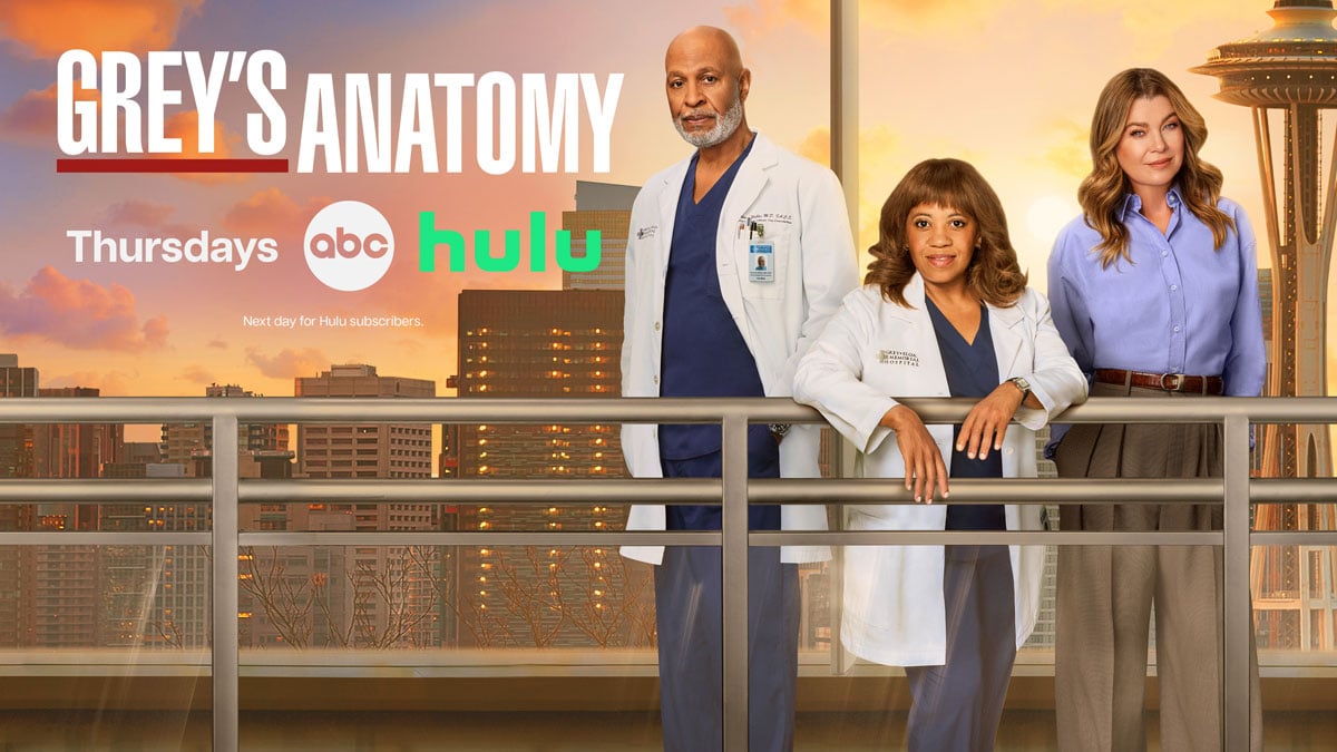‘Grey’s Anatomy’ Season 23 Adds 3 New Stars: Read the Character Descriptions!