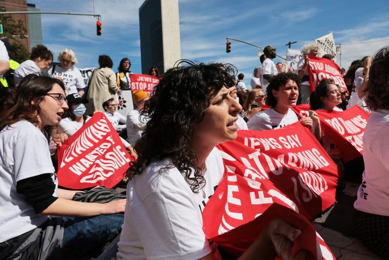 Protestors at the UN