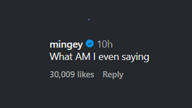 Amanda Seyfried's Instagram comment