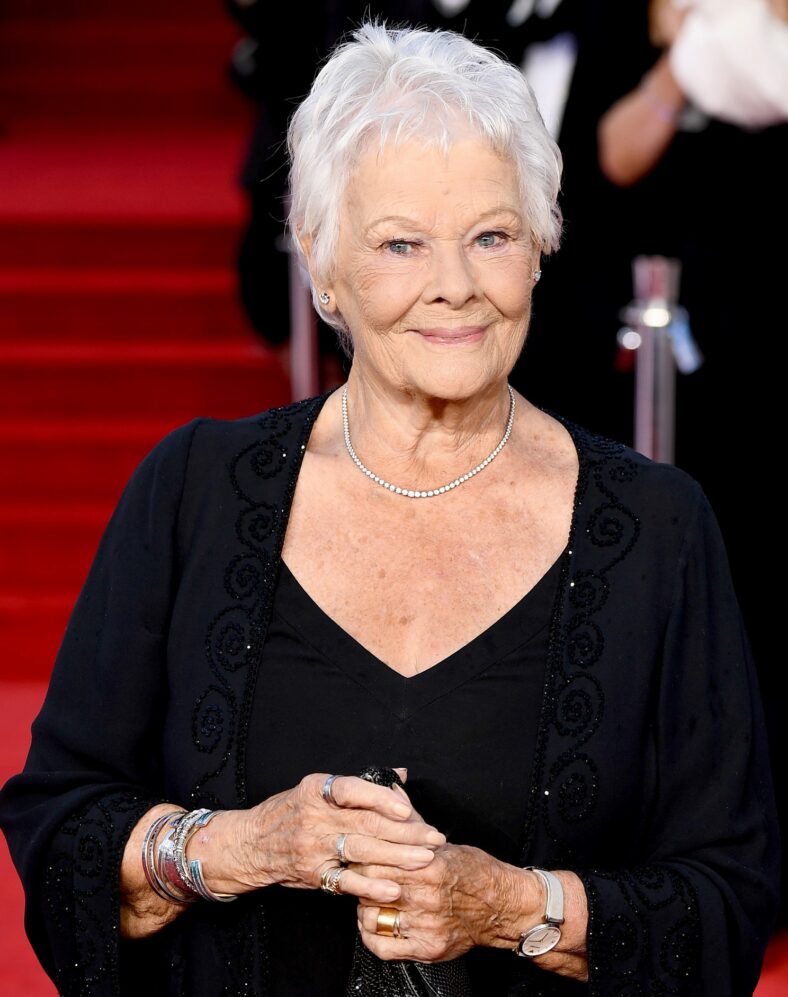 Judi Dench shares update on vision loss