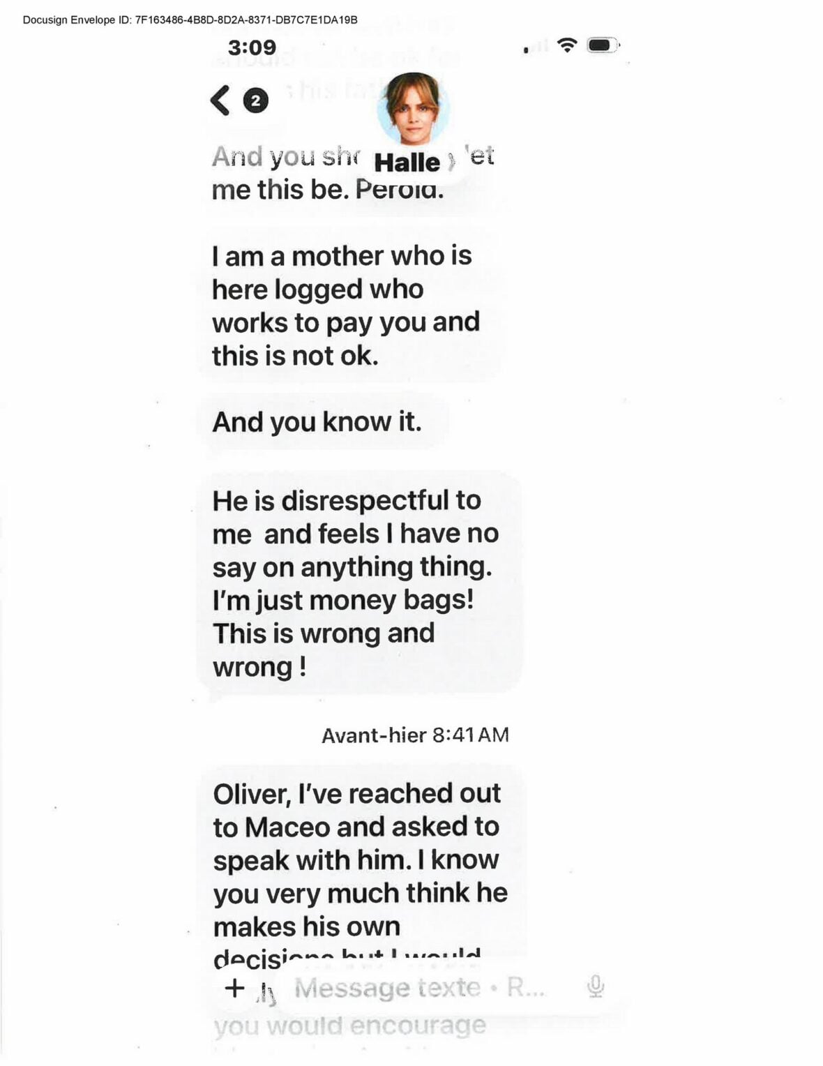 Halle Berry and Olivier Martinez text messages in court filing