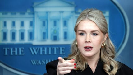Karoline Leavitt at the White House in a stock image